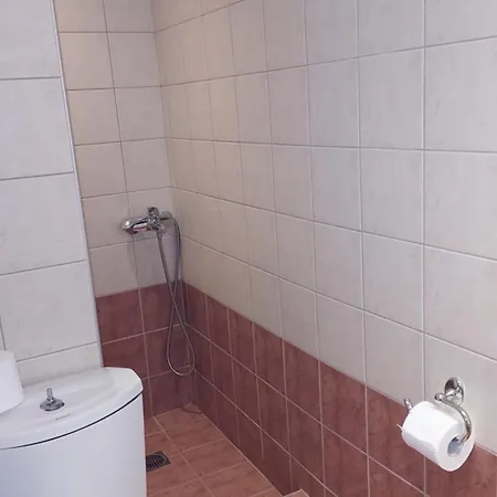 άλκηστις Πορταριά