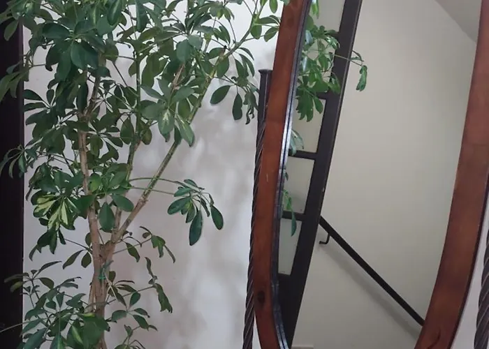 Hotel Alkistis Portaria (Magnesia)